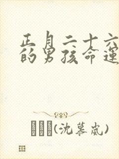 正月二十六出生的男孩命运怎么样封面