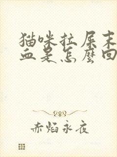 猫咪拉屎末端带血是怎么回事封面