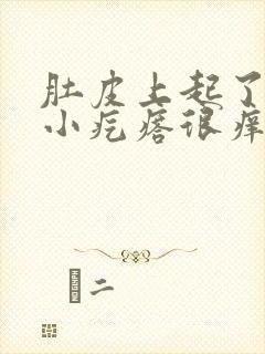 肚皮上起了好多小疙瘩很痒是什么情况