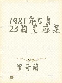 1981年5月23日农历是什么命