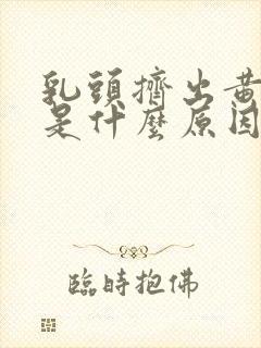 乳头挤出黄液体是什么原因