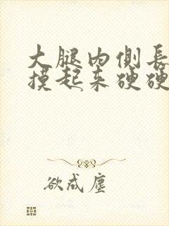 大腿内侧长疙瘩摸起来硬硬的还疼