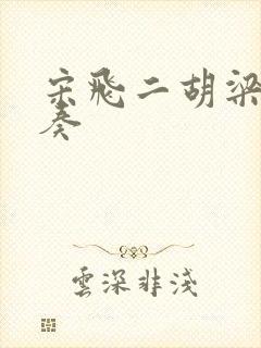 宋飞二胡梁祝独奏封面