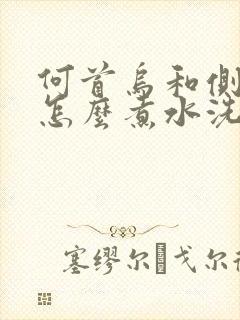 何首乌和侧柏叶怎么煮水洗头