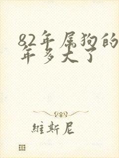 82年属狗的今年多大了封面