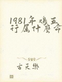 1981年鸡五行属什么命运呢