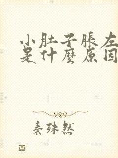 小肚子胀左侧疼是什么原因女性