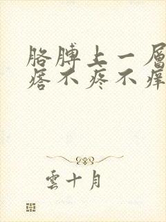 胳膊上一层小疙瘩不疼不痒封面