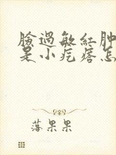 脸过敏红肿痒都是小疙瘩怎么办封面