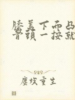 膝盖下面凸起的骨头一按就疼