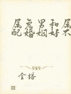 属兔男和属龙女配婚姻好不好