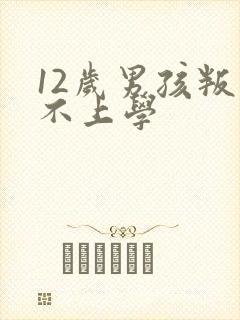 12岁男孩叛逆不上学