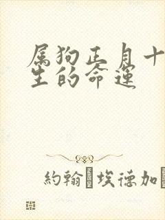 属狗正月十三出生的命运封面