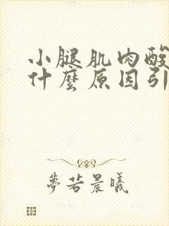 小腿肌肉酸胀痛什么原因引起的怎么办