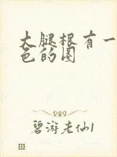 大腿根有一个红色的圈封面