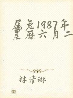 属兔1987年农历六月二十九生的他命运如何封面
