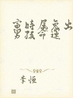 寅时属兔出生的男孩命运