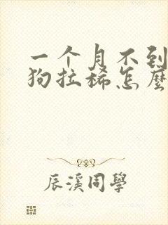 一个月不到的小狗拉稀怎么办