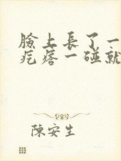 脸上长了一个红疙瘩一碰就疼