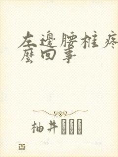 左边腰椎疼是怎么回事封面