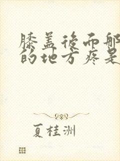 膝盖后面那个弯的地方疼是怎么回事