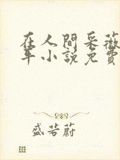 在人间采薇陆三平小说免费阅读