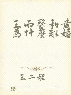 王雨馨和黄景瑜为什么离婚封面