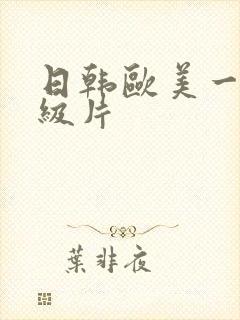 日韩欧美一级二级片