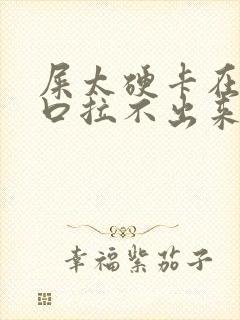 屎太硬卡在肛门口拉不出来怎么办