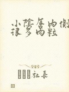 小阴唇内侧长了很多肉粒