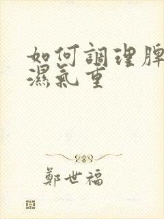 如何调理脾胃虚湿气重