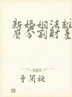 新婚姻法离婚怎么分割财产封面