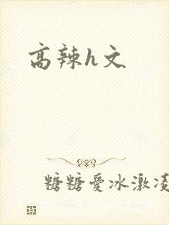 高辣h文