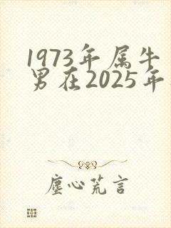 1973年属牛男在2025年财运怎样