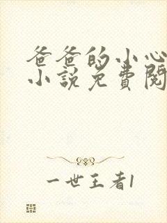 爸爸的小心肝儿小说免费阅读