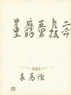 农历五月二十出生的男孩命运