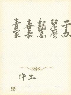 青春期儿子叛逆家长怎么办封面