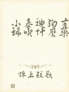 小泰迪狗有点拉稀吃什么药封面