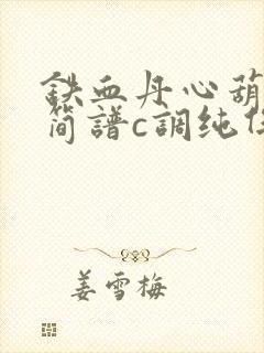 铁血丹心葫芦丝简谱c调纯伴奏封面