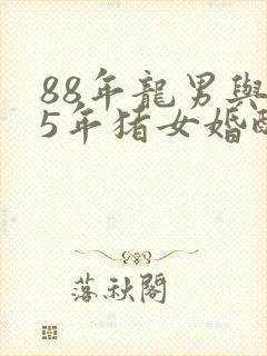 88年龙男与95年猪女婚配好吗