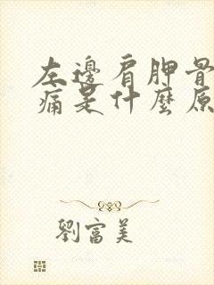 左边肩胛骨下面痛是什么原因