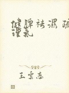 健脾祛湿 疏肝理气