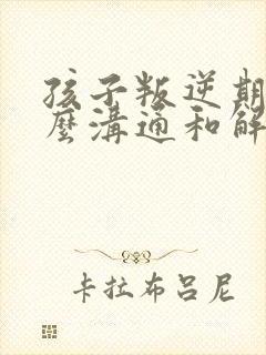 孩子叛逆期要怎么沟通和解决