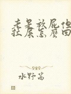 老是放屁但是不拉屎怎么回事封面