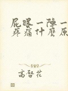 屁眼一阵一阵的疼痛什么原因