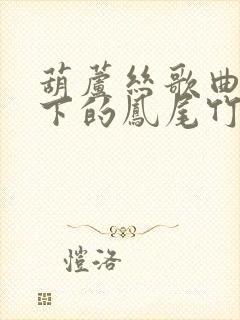 葫芦丝歌曲月光下的凤尾竹降b调动态演奏