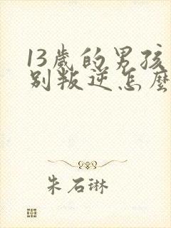 13岁的男孩特别叛逆怎么办封面