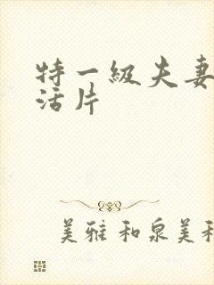 特一级夫妻性生活片