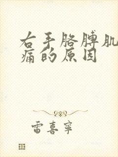 右手胳膊肌肉酸痛的原因