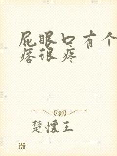 屁眼口有个硬疙瘩很疼封面